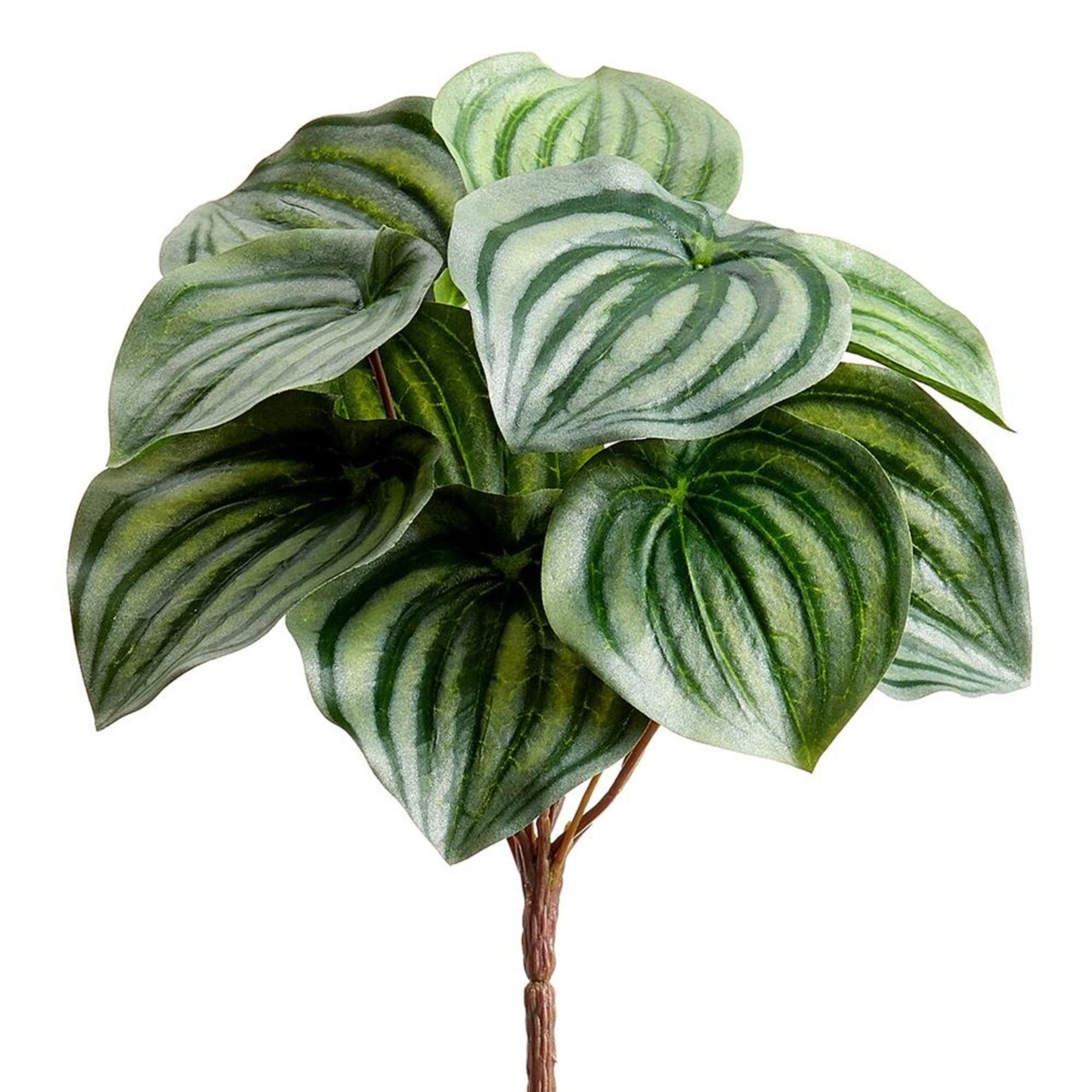 Allstate Variegated Peperomia Watermelon Leaf Artificial Spray - 9" - Green